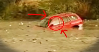 God Sends Miracle For Woman Drowning In SUV
