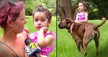 This mother was just a few feet away from her baby girl when she heard a frightening scream for help. And when Mom saw the black bear dangerously close to her daughter, it was their rescue dog that leapt to action. Aren’t God’s creatures truly amazing?