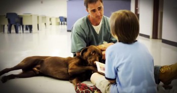Prisoner Gives Back By Training Service Dogs For Children With Autism