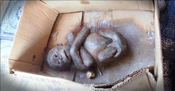 When the rescue team finally got to this baby orangutan, Gito, they feared he was already dead. Lying in a cardboard box barely moving they found a little life left and rushed him to the rescue center. This was hard to watch but I am so happy that this sweet baby boy is getting a chance at the life he deserves! 