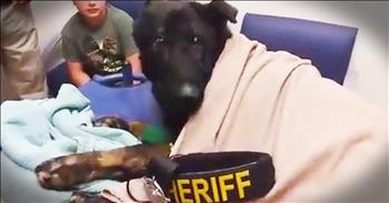 Argo was a vital member of the Hidalgo County Sheriff's Office in Texas. Sadly, he was losing a battle against bone cancer. As a final farewell, the sheriff’s office honored Argo with a traditional last call. This emotional moment left in the toughest guys in tears.