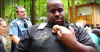 When these rescue groups got wind of a puppy mill rescue of over 500 dogs they had to step in. Seeing the rescue is touching. But seeing these puppy mill rescues a year later will truly put a smile on your face. God bless these amazing rescuers and kind-hearted people who gave these pups a second chance!