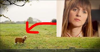 This tiny horse was feeling all alone in a world full of big horses. His owner quickly noticed his loneliness and did something amazing. This Amazon commercial is tugging at all my heartstrings! 