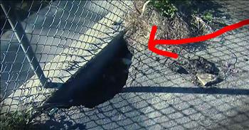 When two sisters were out for a walk on a bike path they heard crying and then their hearts sunk, it was a baby. Thankfully this baby girl was rescued after being buried alive and she is going to be okay. And they know God put them in the right place at the right time!  