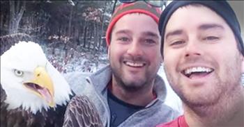 Michael and Neil Fletcher went hunting when they discovered a bald eagle caught in a horrible trap. And these brothers knew they had to rescue this beautiful bird. And you've got to see this rescue!