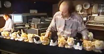 He set up a row of stuffed animal kittens. And when 'Somewhere Over The Rainbow' started to play, I was completely mesmerized. I can't imagine the time and talent it takes to pull this off!
