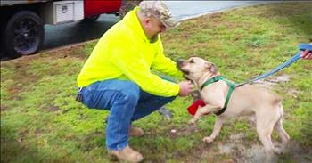 Charlie has been living in the shelter for 2 years and everyone loves him. And now he's finally getting a chance at a forever home with his new dad. And seeing how loved this pup is going to be put the biggest smile on my face! 