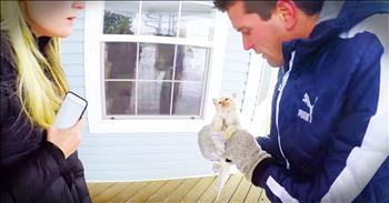 This family was playing in the snow when they found a tiny kitten frozen in the snow. They feared he was dead but refused to give up and continued CPR and kept him warm. And after a heart-wrenching hour this tiny frozen kitten came through. And seeing him after this rescue melted my heart!