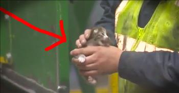 Tony Miranda is in charge of sorting the recycling that comes through his conveyor belt at Cal-Waste. But today, he noticed something small and furry pass by. Tony grabbed the tiny kitten just seconds before it would've been crushed in a trash compactor. Now this special little kitten is getting the best gift of all! 