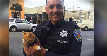 When a San Francisco man fled from the police after stealing a car, he sat on the edge of a window ready to end his life. Police forces brought family and friends to the scene, but no one could coerce him down. Finally, the man caught sight of his beloved tabby cat and reconsidered. Thank the Lord for this precious feline and his unconditional love.