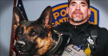 Officer Ryan Davis was investigating a break in with his K-9 partner Jethro when the robber began firing shots. Jethro took 3 shots killing him and saving his human partner's life. And how this police officer is honoring the memory of his fallen dog will bring you to tears! God bless these heroes!