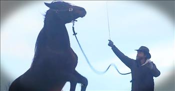 Wild Horse Who Nearly Kills Farmer Gets Happy Ending