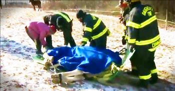 Aww-gee, an Arabian horse, in Pittsburgh, suffered a terrifying fall on ice. Thankfully, rescue workers were able to help this poor fellow and carry him to safety. God bless each and every one of them!