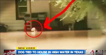 After the terrible flooding in Texas a crew came across a horrific sight. Someone had left their dog tied to the ground and the poor dog was struggling to keep his head above water. But God sent these amazing people just in time to rescue this poor dog. And knowing he is safe now let me breath a little easier! 