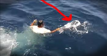 When this rescuer realized the pile of floating trash was actually a helpless turtle caught in a bag, he dove right in. And I admit I hardly even saw the turtle. But at the end seeing this beautiful creature set free into the water with a new lease on life made my heart so full! God bless these amazing rescuers.