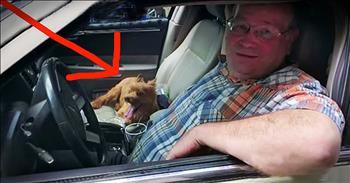 Garrick Quinones, a limo driver, was crossing the Brooklyn Bridge when he noticed a terrified little dog cowering on the side of the road. He immediately pulled over, in the middle of traffic, and used some quick-thinking to create a leash to save the pup. Thank goodness this man was in the right place at the right time!