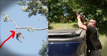Veteran sniper Jason was heartbroken when he looked up and saw a bald eagle stuck hanging upside down from a tree. Jason knew he had to do something and this eagle's dramatic rescue is truly powerful. 