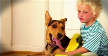 Danny is developmentally challenged and talking was always extra hard for Danny. Until, his next door neighbor got a rescue dog named Saki. Saki broke out of the yard and instinctively headed straight for Danny. And how this former stray changed Danny's life you have to see. God bless this pup!