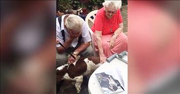 82-year-old John was devasted when his beloved English springer spaniel passed away. But thankfully, his granddaughter found the perfect surprise for John...a rescued English springer spaniel. And when he sees his new dog, I'm in tears too!