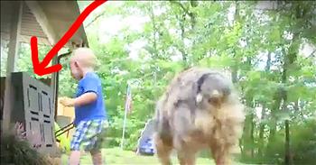 Shiloh, the family dog, and 18-month-old Bryson Holloway were playing outside when Shiloh noticed something in the grass. The dog immediately jumped in front of young Bryson to shield him from the copperhead snake in the yard. Bryson's parents, who sat nearby, came running to intervene. Thankfully, everyone is okay and the family gives praises to God for their hero dog!