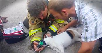 Firefighters in Iowa rescued everyone from a burning building, including a family cat. They searched the home twice to find the beloved pet and used a special oxygen mask to help revive her. God bless these rescuers!