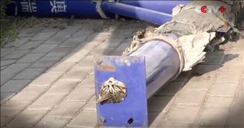 This curious kitten got terribly stuck in a large pipe. Thankfully, firefighters showed up to rescue the poor baby. And seeing this kitten free is absolutely beautiful!