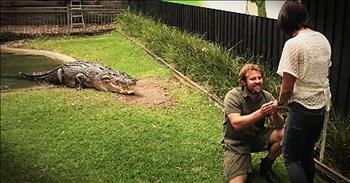 Reptile handler Billy Collett was doing a demonstration at The Australian Reptile Park in Australia when he asked his girlfriend to join him in the crocodile enclosure. And when he got down on one knee with a massive croc behind him, I was holding my breath. This is a proposal you won't forget!