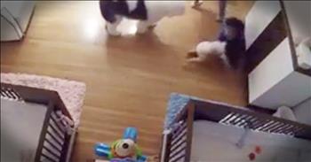 Mother Tila Levi placed her baby on the changing table and turned her eyes for just a second when the unthinkable happened. As she was preparing to change a diaper, the infant child began to roll and fell off of the table. Thankfully, 9-year-old big brother was there and jumped into action. His quick reflexes helped saved this baby from a terrible fall. God bless this young man!