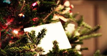 The White Envelope Project is working to bring back the true spirit of Christmas, the spirit of giving and spreading love to all. It all started with Mike, a husband who hated how commercialized Christmas had become. When Mike's son was wrestling against an inner city school Mike's heart broke seeing the ratty shoes of the teens from the opposing side. Their broken spirits stuck with him for weeks and that's when Mike's wife got an idea. She decided to donate wrestling gear to the school to help the kids who touched Mike's heart. That's when she put a plain white envelope on the Christmas tree. Inside, it told Mike exactly what she had done. When Mike saw how his family was giving back at Christmas his heart began to fill with joy. I just love how this project has spread!