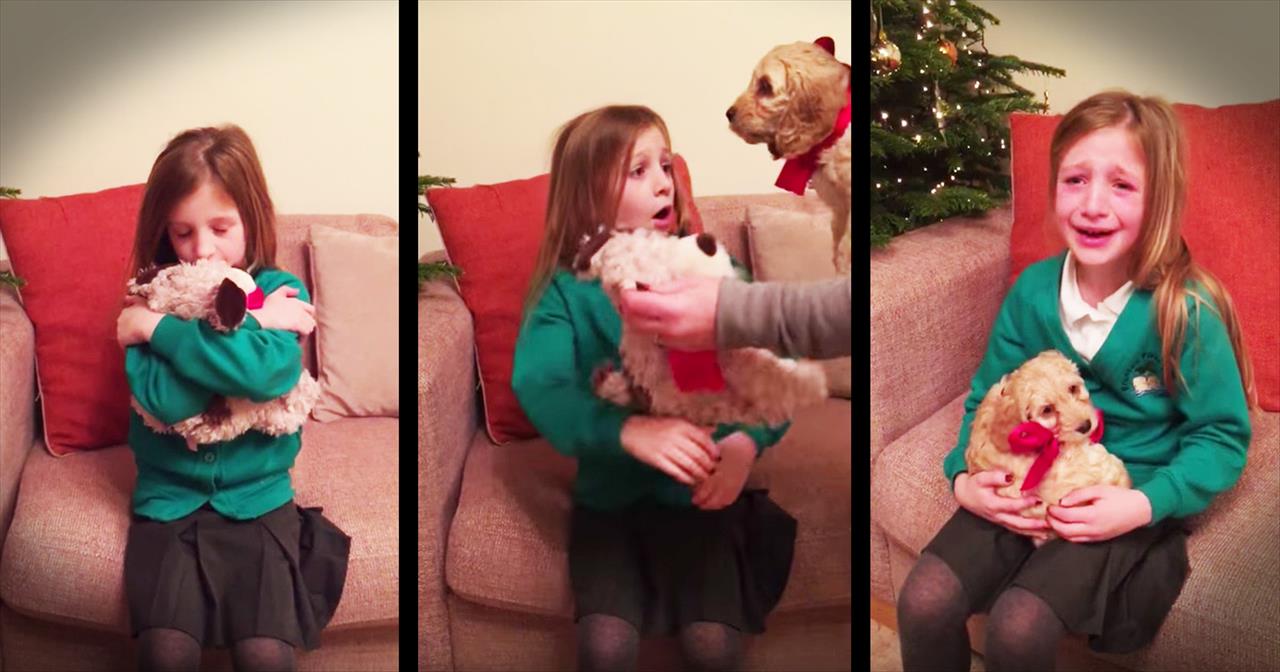 Little Girl Gets Surprise Puppy For Christmas Cute Videos