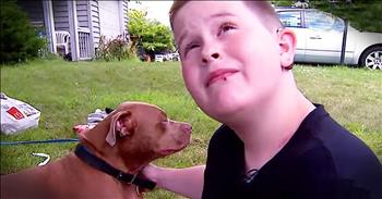 13-year-old Nick Lamb was asleep in his house when his dog Ace started to lick him on the face. Nick had taken out his cochlear implants while he slept, but thankfully Ace was around to alert Nick to impending danger. A fire had broken out and this hero pitbull helped save the day. I'm so thankful for God's amazing creatures!