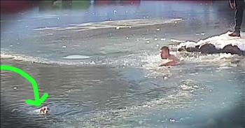 When this poor pup fell into a frozen lake he was struggling to get out. The dog would have drowned had it not been for a brave stranger who risked his own safety to save the dog. Thanks to this man this dog is now safe and sound! 