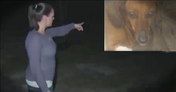 Krystal Long was unloading groceries when she encountered a 200-pound black bear. Living where she does, bears are not uncommon but even when Krystal made noise, the bear would not leave. That's when Krystal's son came running along with their tiny dachshund, Daisy. Daisy immediately leapt in between her owner and the bear. She was willing to sacrifice her own life for her family. Thankfully, Daisy has recovered from her injuries and this hero dog is receiving lots of love and attention.