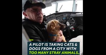 In some cities, the homeless pet population can overwhelm shelters and the only option is to euthanize.  A giving pilot is coming to the rescue of many of the pets in his community by offering to fly them thousands of miles away to a city that has many families who want to adopt.  What an amazing gesture of love. <3