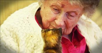 When this animal rescue group got in a bunch of neonatal kittens who needed around the clock care, they new they didn't have the man-power to keep these babies alive. So they paired up with a local memory care home. Seeing how the senior residents of this home took to these kittens and truly came alive stunned everyone. And what a wonderful solution for getting these kittens ready to go to their forever homes. How sweet is this?
