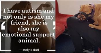 In the UK, Pit Bulls are not allowed as domestic pets.  Indy, however, is a therapy dog for her owner, who is Autistic.  Thankfully, she has been returned home, but she is forced to wear a muzzle when out in public.  This is a sad story, but it teaches a valuable lesson. <3