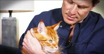 Famous Chef Explains Why Cats Deserve Love Too