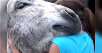 We are fascinated by this donkey and the love and excitement that he is showing to his sweet girl.  You can see the smile on his face and hear the joy in his bray!  I'm scratching my head, trying to figure out how I can keep a donkey in my back yard!