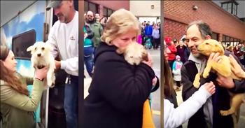 These 57 dogs were rescued from kill shelters and given a second chance at life. And now they have all been packed up and transported to meet their new families. Seeing these dogs get picked up one by one with love and joy to start their new lives made my heart so full! God bless these rescuers!