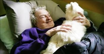 James wanted to get something meaningful for his mother’s birthday but he never expected this reaction. James’ mom suffers from mobility difficulties and mild dementia. She lives in an adult family home which provides a home setting for patients and gives the same quality of care as a nursing home. Two years ago, she had to give away her cat after she was no longer able to look after it. She was heartbroken. For her birthday James wanted to get her a cat and after searching he found the perfect robot cat and presented the gift to his mother. Your heart will be so full when you see her reaction!