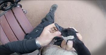 This rescuer got a call about a goose with a metal ring stuck around his beak. So he sat and fed the goose until it would come close enough for him to grab the goose. And this rescued happened in the blink of an eye but man was it ever intense. Thankfully this goose is okay and now he is free of this dangerous ring!
