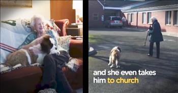 This sweet 92-year-old widow has lived alone for 27 years. She was lonely and her family tried to figure out a way to give her some company. After some time, they came up with the greatest idea, a puppy of her very own. And when you see this super sweet widow and her giant snuggly best friend your heart will fill with love! These two even go to church together. How sweet is that?