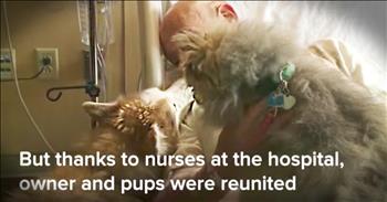 Ron Belcher was in his mobile home with his two dogs when a tornado hit wrecking his home. Ron survived but was rushed to the hospital where he was recovering. But Ron's heart was still broken thinking his two dogs died in the tornado. That's when his incredible nurses reached out found his dogs and reunited them! And when you see Ron's face when his beloved dogs walked in, you'll be overwhelmed with joy. What a beautiful reunion.