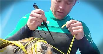When this man spotted a turtle in need, he knew he had to step in and help. This stranger jumped into the water and pulled the tangled turtle onto his boat. The turtle had became caught in the trash from a plastic balloon. Thankfully, this man was able to cut him free and return him to the ocean. God bless this Good Samaritan.