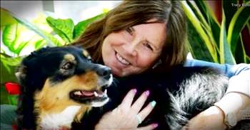 Tracey Metkea's dog Becky Jo is always by her side. So when Tracey headed out to ride a horse Becky went along too. But when tragedy struck and Tracey fell off the horse and was being dragged things were going terribly wrong. Tracey easily could have died from this scary situation, but Becky Jo knew exactly what to do. She ran back to the house and got Tracey's husband and brought him back to her. Thank the Lord Becky was there because she saved Tracey's life that day!