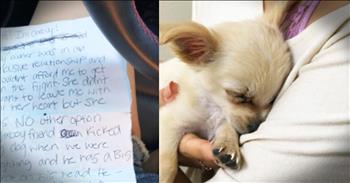 3-month-old chihuahua puppy Chewy was sadly abandoned in a bathroom at an airport. Thankfully, someone found Chewy and he was taken to a rescue where he will be placed with an incredible loving family. But don't get mad at Chewy's former owner until you hear her story. 

When Chewy was found there was a note with him that said this, “Hi! I’m Chewy! My owner was in an abusive relationship and couldn’t afford me to get on the flight. She didn’t want to leave me with all her heart but she has NO other option. My ex-boyfriend kicked my dog when we were fighting and he has a big knot on his head. He probably needs a vet. I love Chewy sooo much – please love and take care of him.” 

Now this tiny dog and his heartbreaking story is drawing attention to the topic of domestic violence. It certainly breaks our hearts to know that this woman had to leave her beloved dog, but we pray that she was able to found herself a safe place to start a new life. If you or someone you know is suffering from domestic abuse, please reach out for help! Remember, you are not alone.