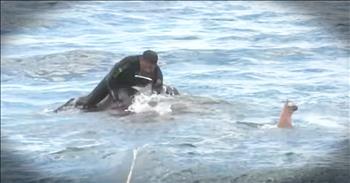 A group of Navy divers in Sri Lanka rushed into action when a poor elephant became caught in the ocean current. The current took the large animal out to sea and it was struggling to keep it's head snd trunk above water.

Cameras capture the dramatic rescue and I was clinging to the edge of my seat the entire time. It took several boats, multiple divers and over 12 hours to rescue the drowning elephant. 

I'm so glad these rescuers took the call and saved this majestic creature. God bless them!