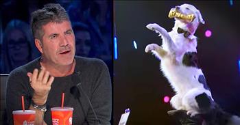 When Sara and her talented dog, Hero, <a href="http://www.godtube.com/watch/?v=1FEF91NU" target="_blank">first auditioned</a> for America's Got Talent, they received mixed reviews from the judges. But when Simon plead his case with the others for this duo to get another chance, they were sent through to the next round. 

Now, Sara and Hero are back for round 2 and they're pulling out all the tops. This pair has added talented stunts and a whole storyline to their routine. I can't get over how well-trained Hero is and it seriously looks like he is having a blast. 

I'm so glad I was able to see this duo again and that the judges are excited. Now I need Sara to come over and help me train my own dog!