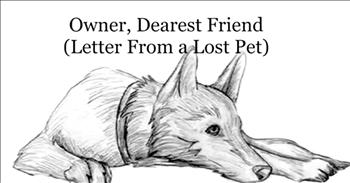 When we bring a pet into our lives, they truly become a part of the family. They give us unconditional love and lifetime of memories to cherish. 

This touching poem titled 'Owner, Dearest Friend' is given from the prospective of our precious animals once they have crossed the rainbow bridge. It is always a difficult time when we lose a beloved pet, but hearing these special words helps to ease the pain. 

Our animals truly make an impact on our lives for the better and they will never be forgotten. I'm going to hug my furbaby just a little bit tighter today. 
