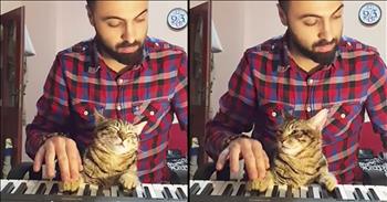 There's no doubt that this relaxed kitty loves the sweet sound of his human's music. 

Just watch this cat's face when he begins to play the piano and he drifts off into the sound. Even with the owner moves around, this funny kitty remains cool, calm and collected. 

I can't help but giggle at this hilarious sight but I'm also a little bit jealous of his relaxation. Who else wishes they could be as stress-free as this little guy?